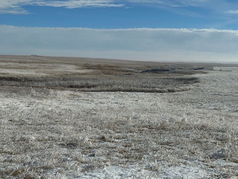 759BD0C5-D5A0-4B79-8BB0-17AD1C23C6F3_1_105_c