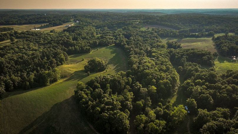 dji_fly_20250705_194552_0403_1751759933583_photo