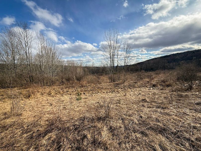 Chemung_59.65_Kocsis_photos_14