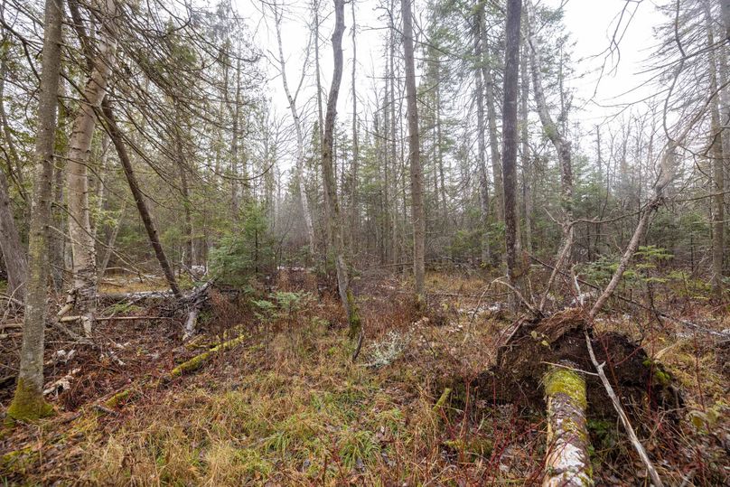 Mackinac 31.5 Noteboom-1685