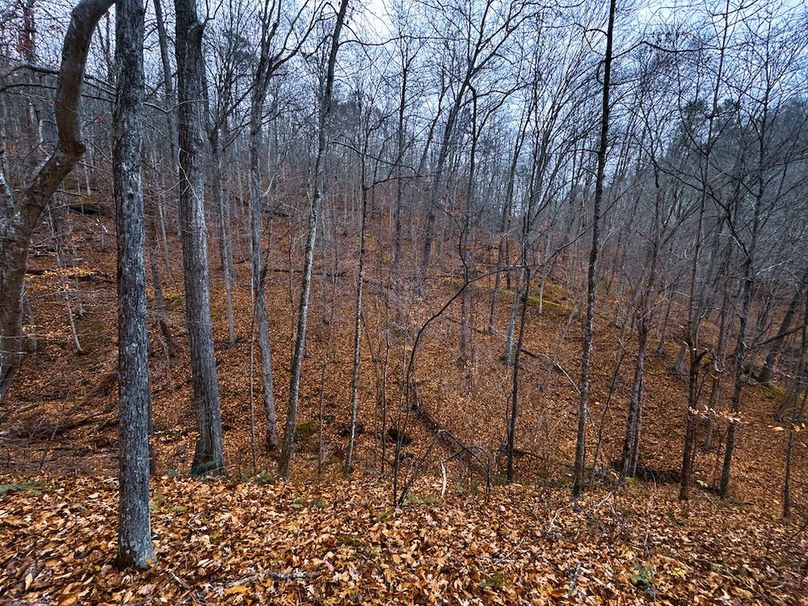 Ritchie, WV 100 AC Harper-40