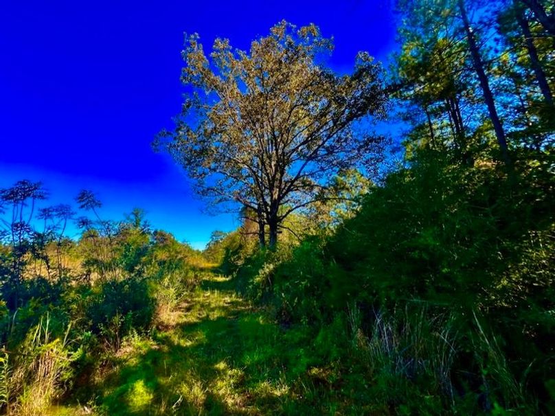 D1B975E1-FCE2-4621-80D6-23020E6ABB75_1_105_c