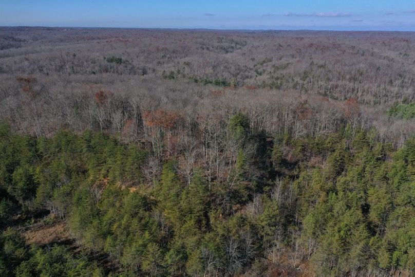 007 aerial drone view looking north over the Daniel Boone National Forest