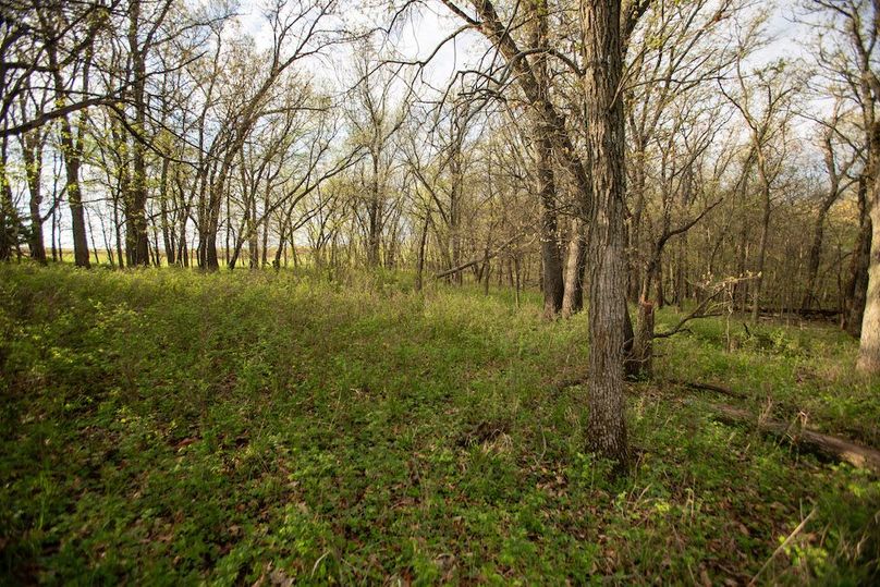 MONTGOMERY CO IA. 156.78_71