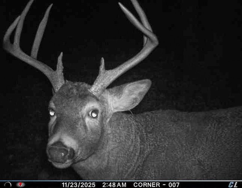 Adams 25, Nessler -17