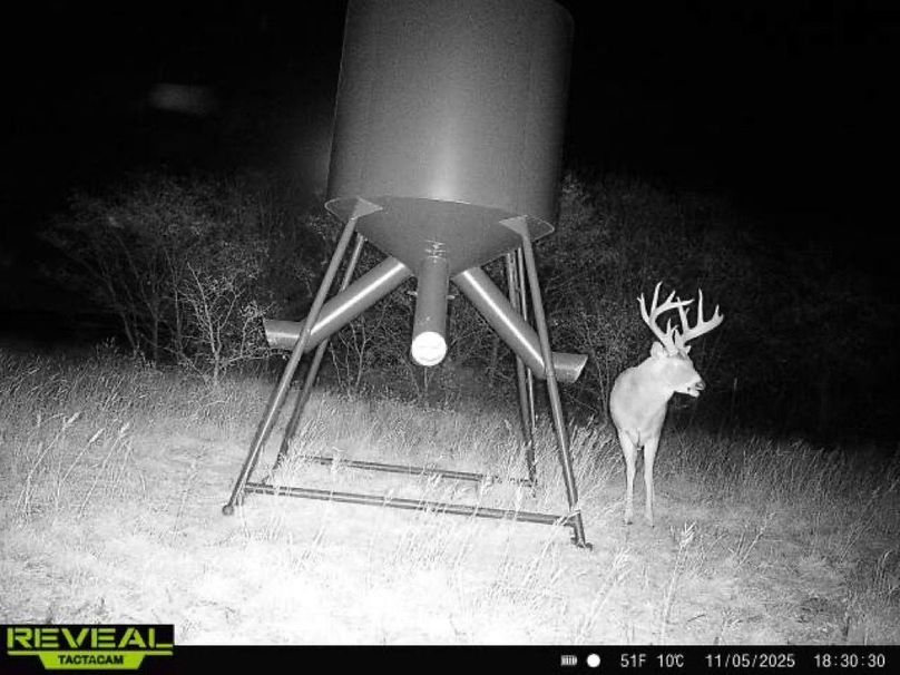 865977050266538-100-4-11052025183030-W1000740