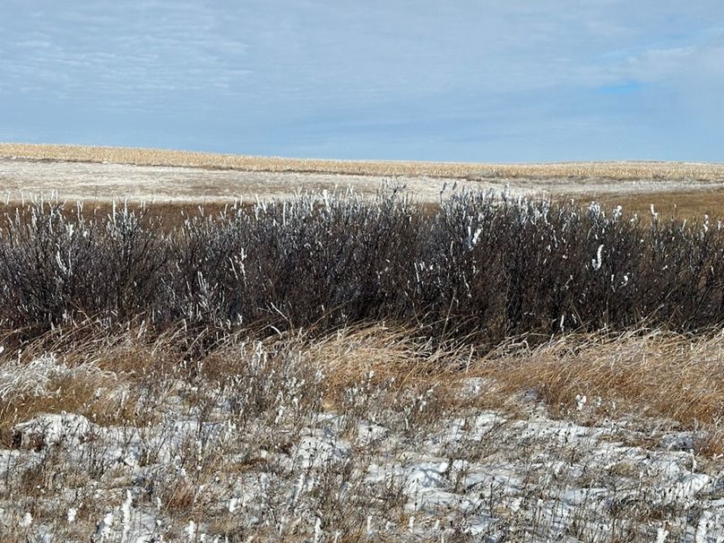 B49B966D-69BB-47F0-9AD1-40C7EAA37E09_1_105_c