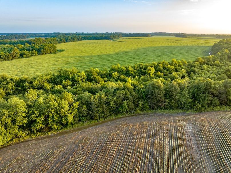 Copy of Noxubee 112.1 +- Tract 1-09