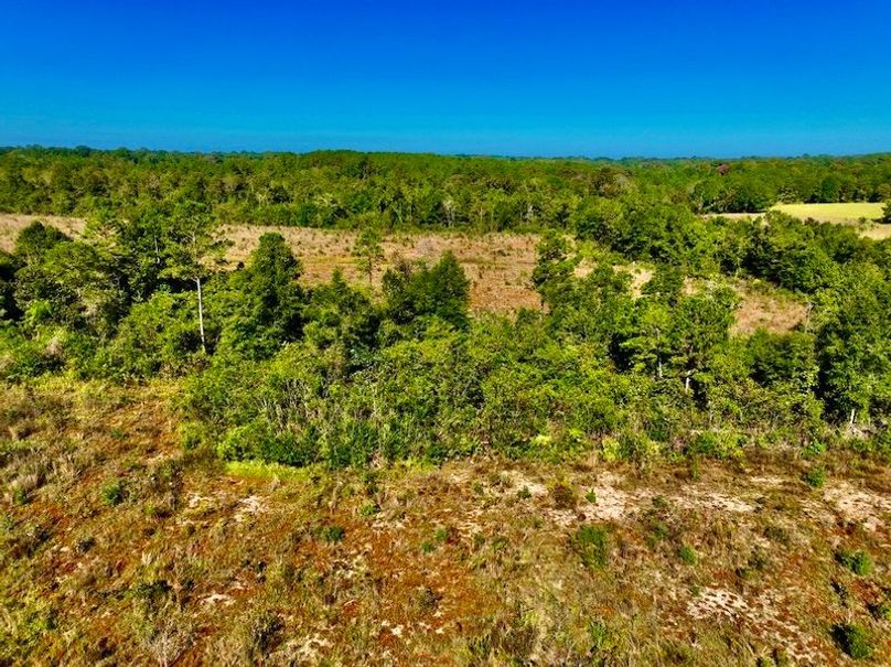 C4AAF31B-9FE4-493F-9229-60D76C9E10B1_1_105_c