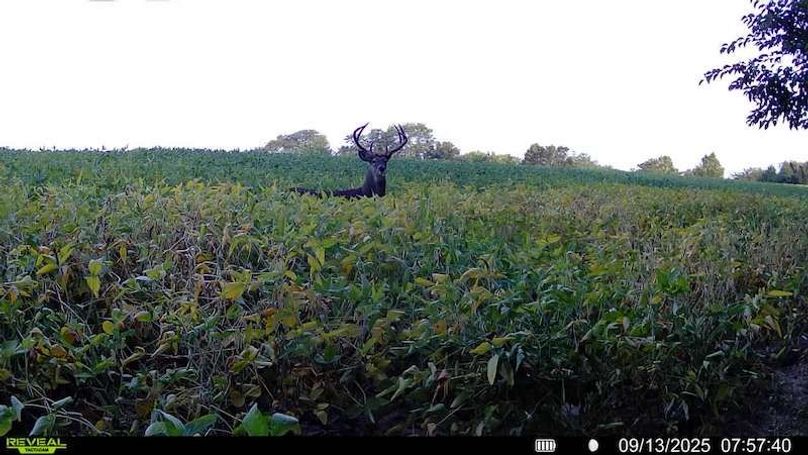 016579007487973-100-4-09132025075740-SYFW00255