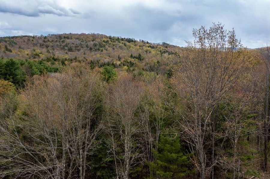 Tioga_175_Payne_Photos_47