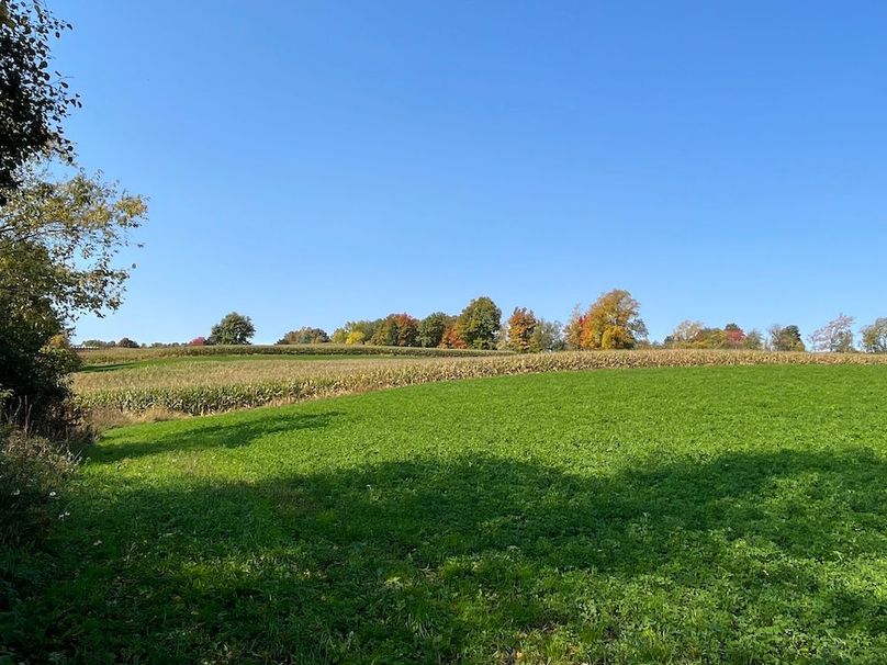 Yates_29_Stape Photo 20