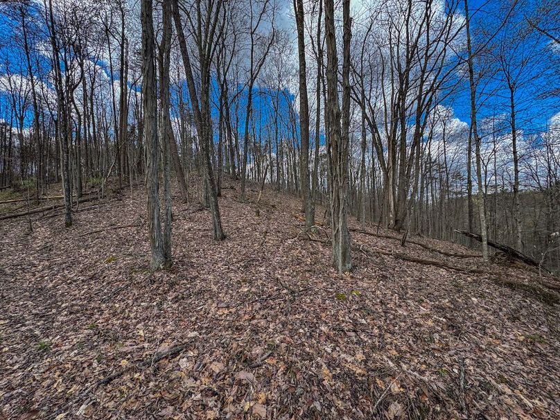 Wirt, WV 62.5 AC Full-16