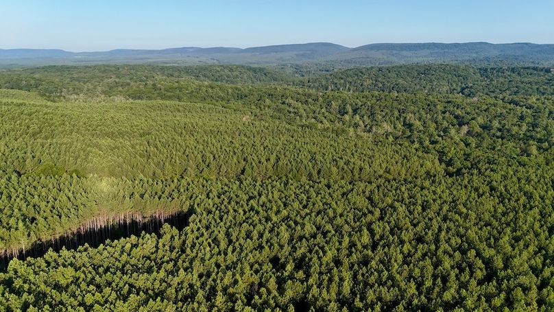 DJI_20250726080942_0026_D