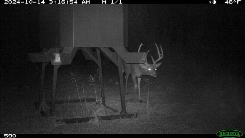 Copy of 06258c755cac2f41f143093dcf045cb8-large