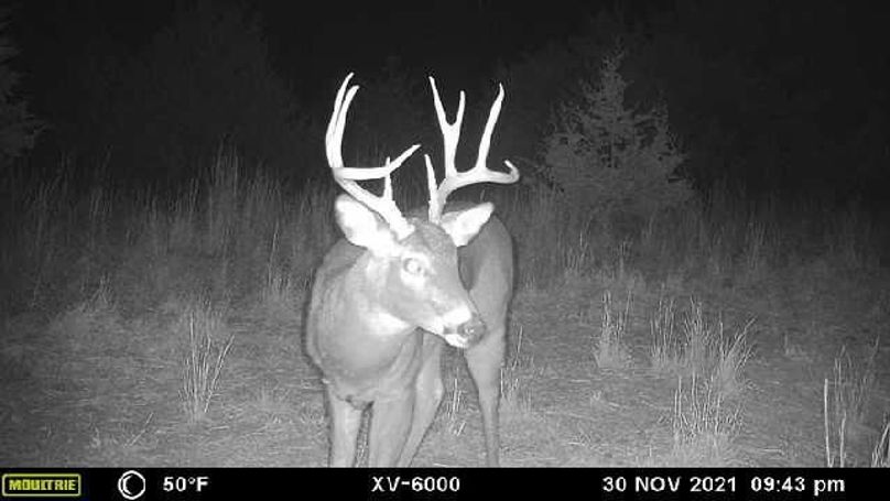 image638376309756562641