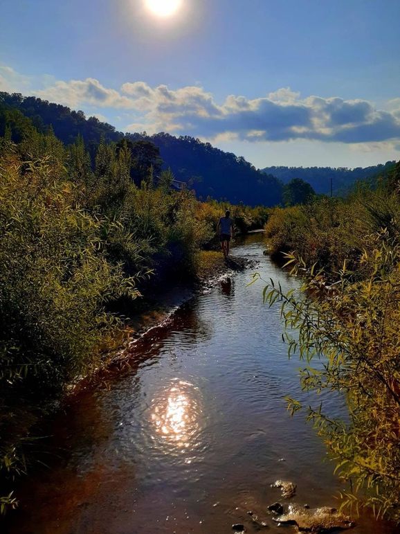 087 what a beautiful creek and place for nesting birds