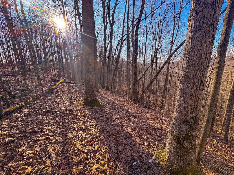 Lewis, WV 82.87 AC Barger-43