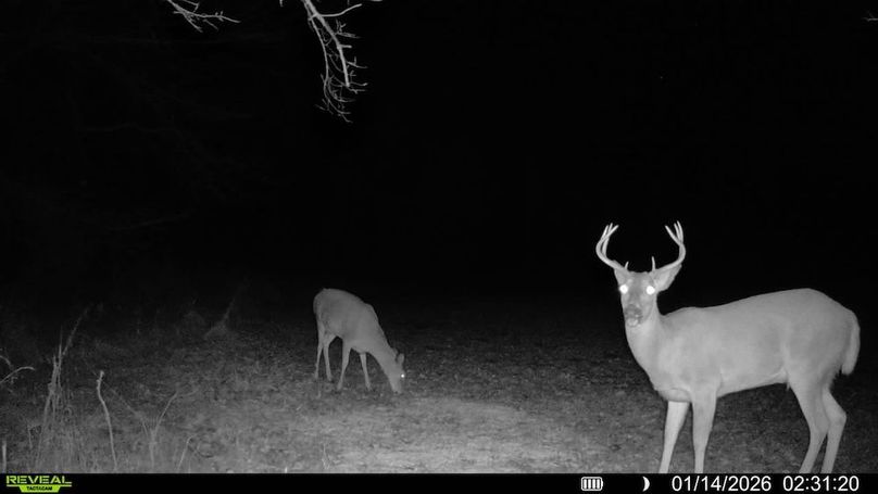 016578001722351-87-2-01142026023120-SYFW12100