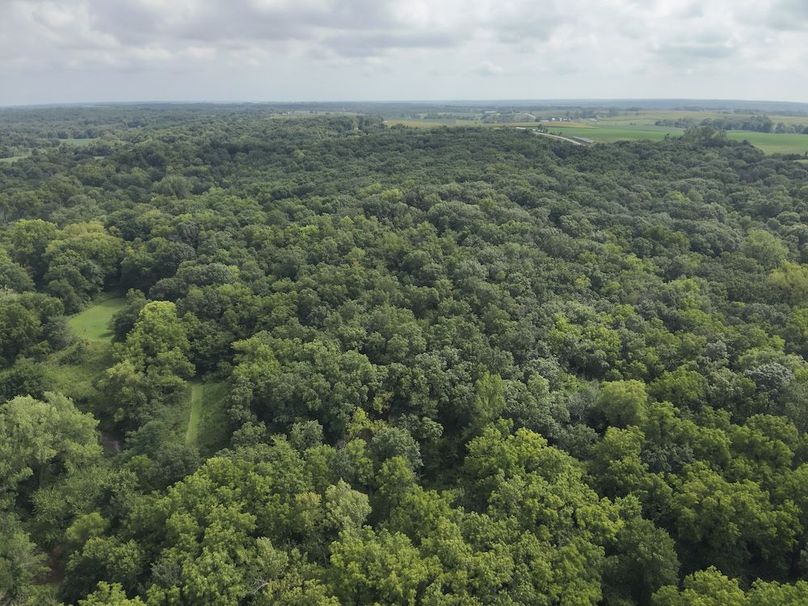 DJI_20240815153752_0019_V