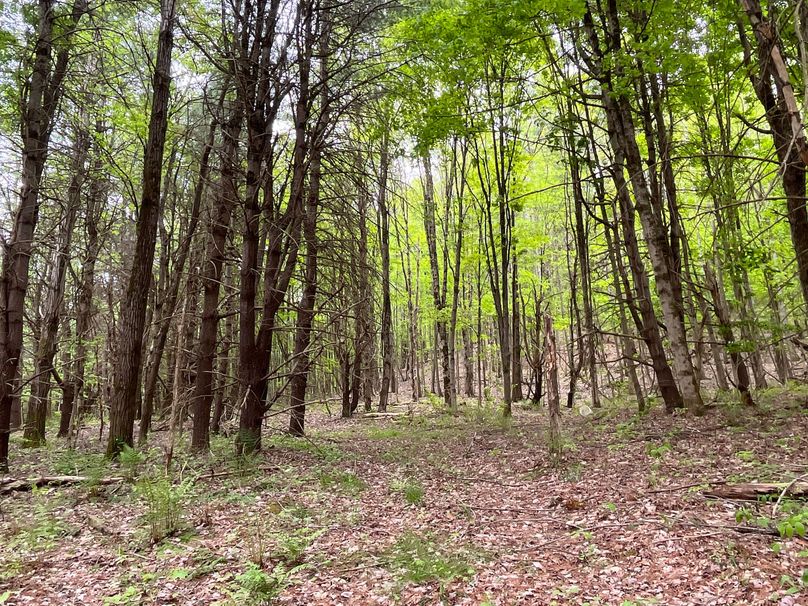 Tioga_18.72_Coulson Photo 26