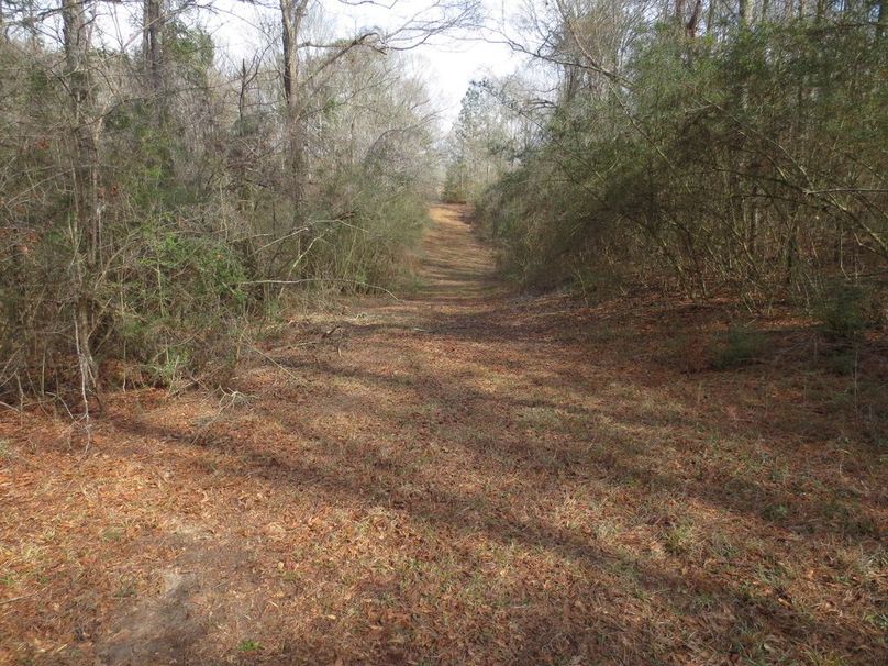 B4D019BA-50C7-415C-9927-15083AF3F9EA_1_105_c