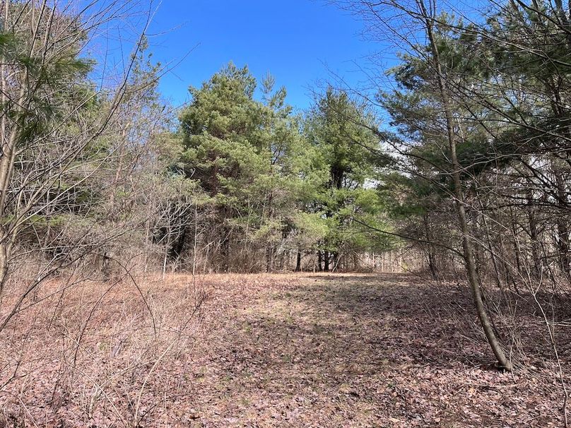 Chemung_116.3_Stamm Photo 44