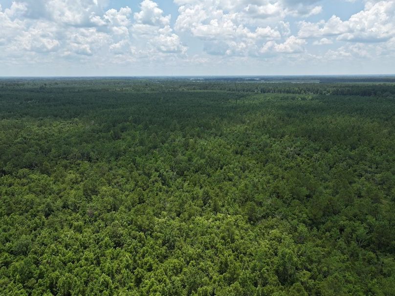 DJI_20250627124356_0169_D