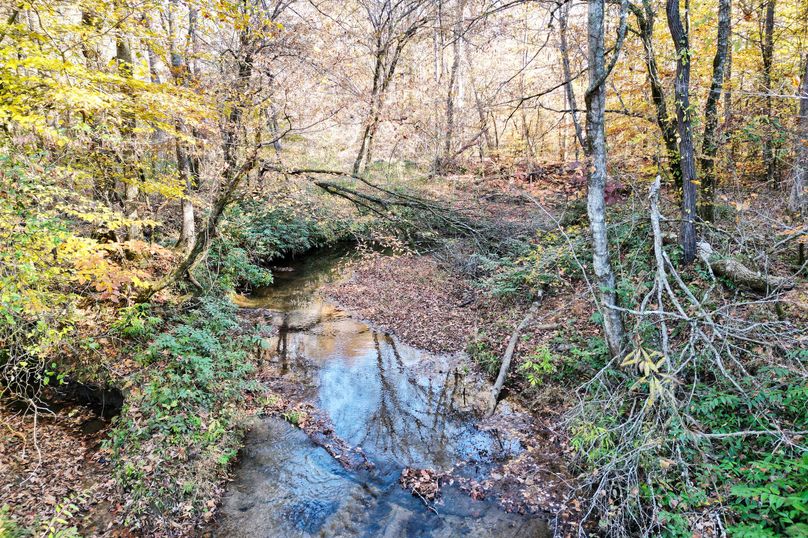 26 Creek 12
