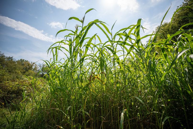 MCHENRY 32 RECENT UPDATES-24