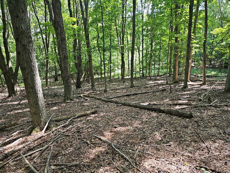 photo_7fcbe923-941a-43eb-9a31-f00f7e7bed1e