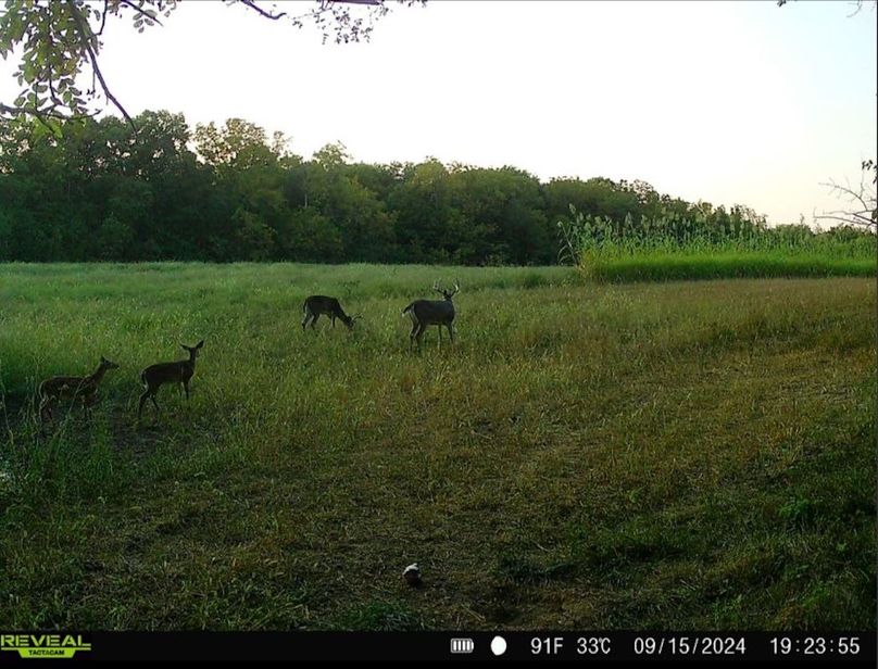 Screenshot 2026-03-03 130138