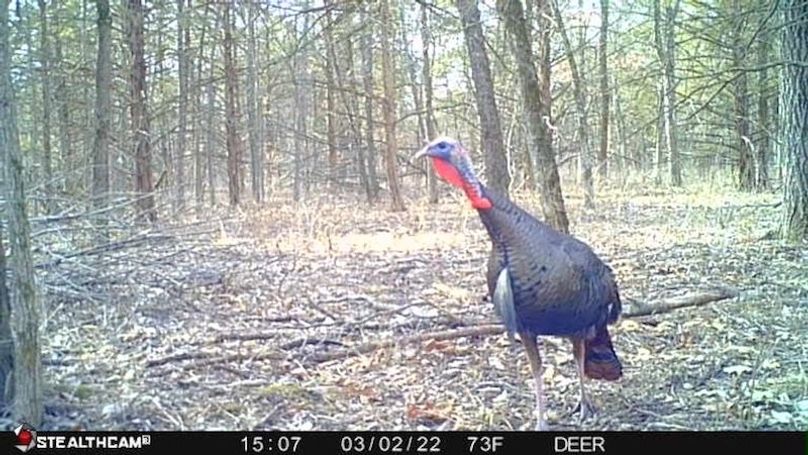 1646414284384_72694486926851