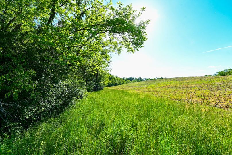 Copy of st clair 25 auction(21)