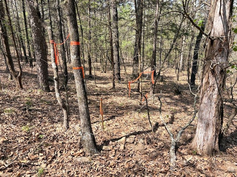 5FF091D2-37E5-4D56-B4D3-C3E4E7758A3A_1_201_a