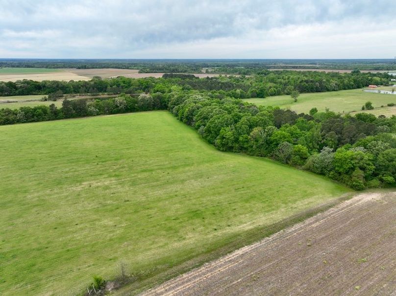 dji_fly_20260406_132112_486_1775496389172_photo