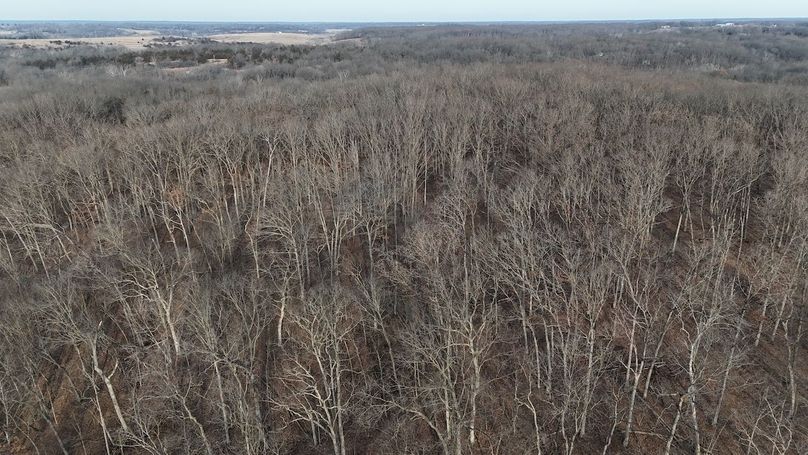 dji_fly_20260208_083124_0044_1770562353479_photo