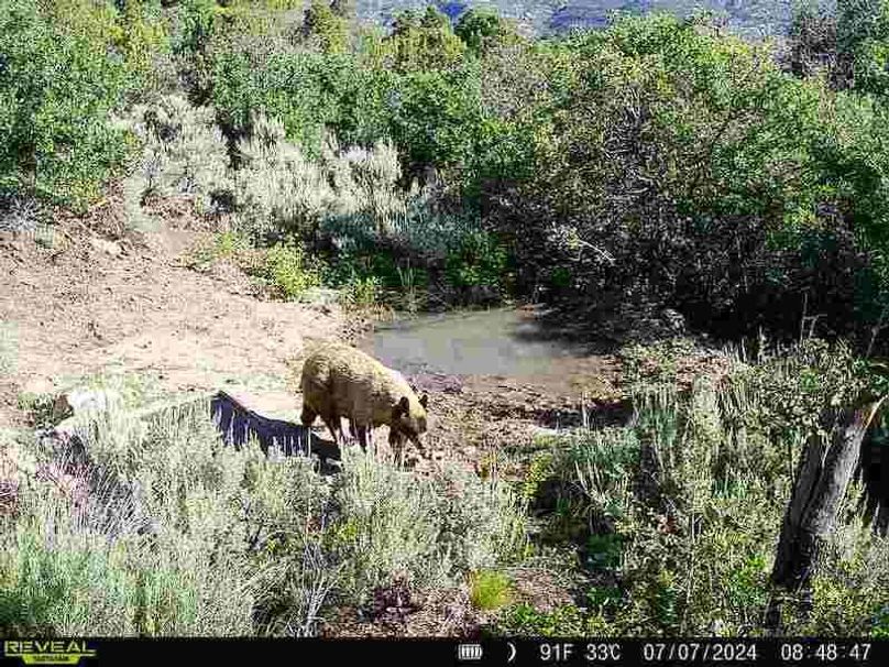 860516060007964-100-2-07072024084846-V-W1001842