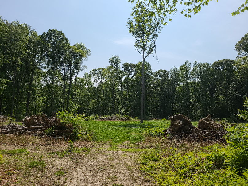 26.48ac_McKenneyLn_QAnnes_39