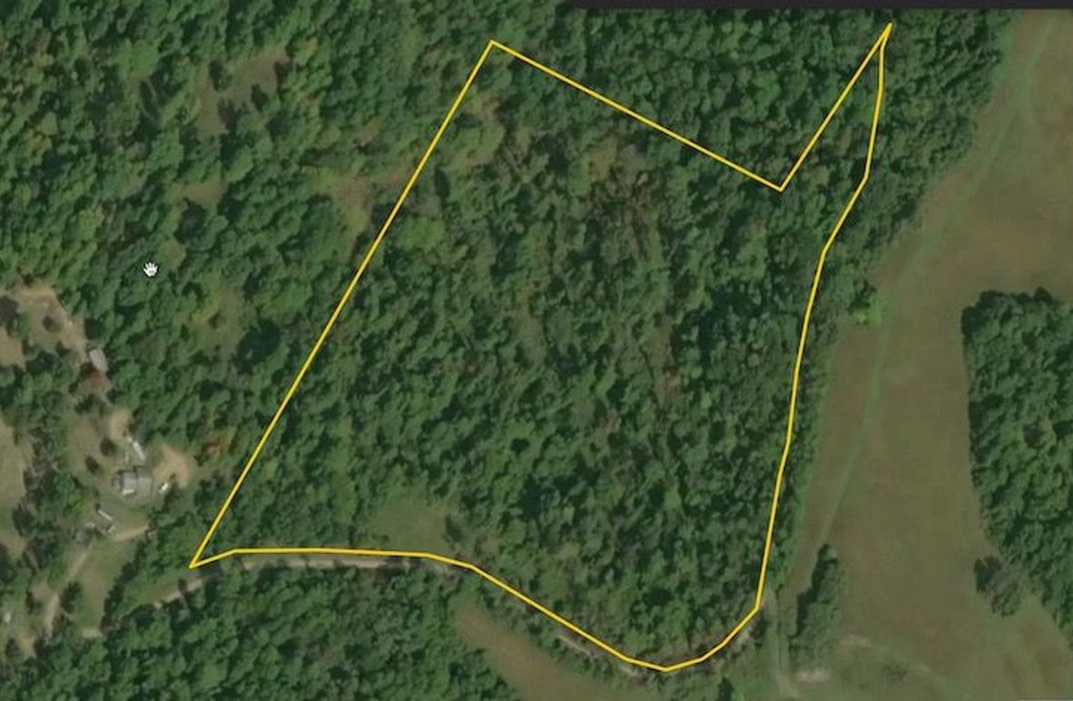 Screenshot 2025-05-20 at 9.29.58 AM