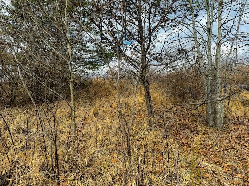 Doddridge, WV 79.08 AC Adams-59