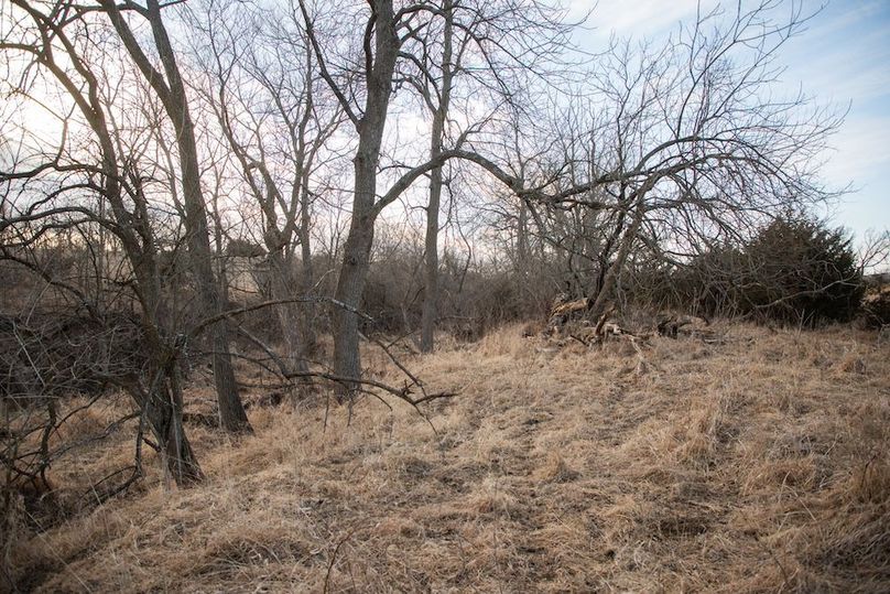 MONTGOMERY CO IA 156.78_56