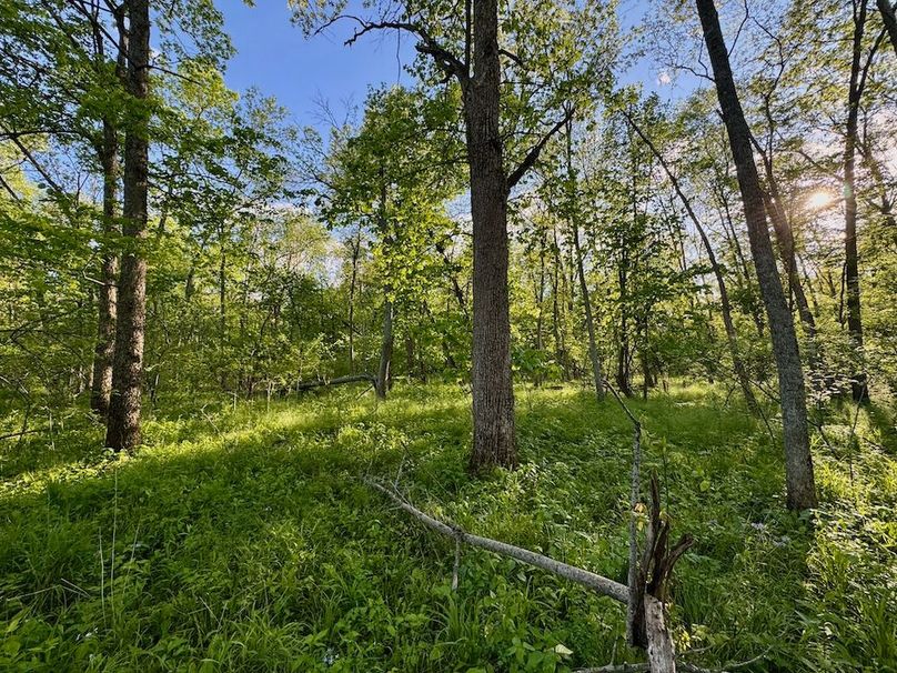 La Crosse 56.17 - 19