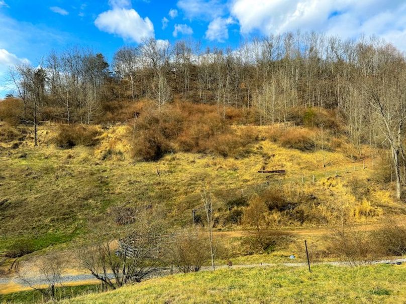 Doddridge, WV 79.08 AC Adams-02