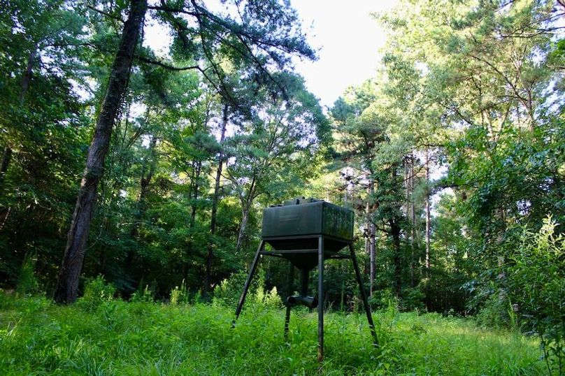 781E4B7E-D702-444F-ADCF-D14290F5E849_1_201_a