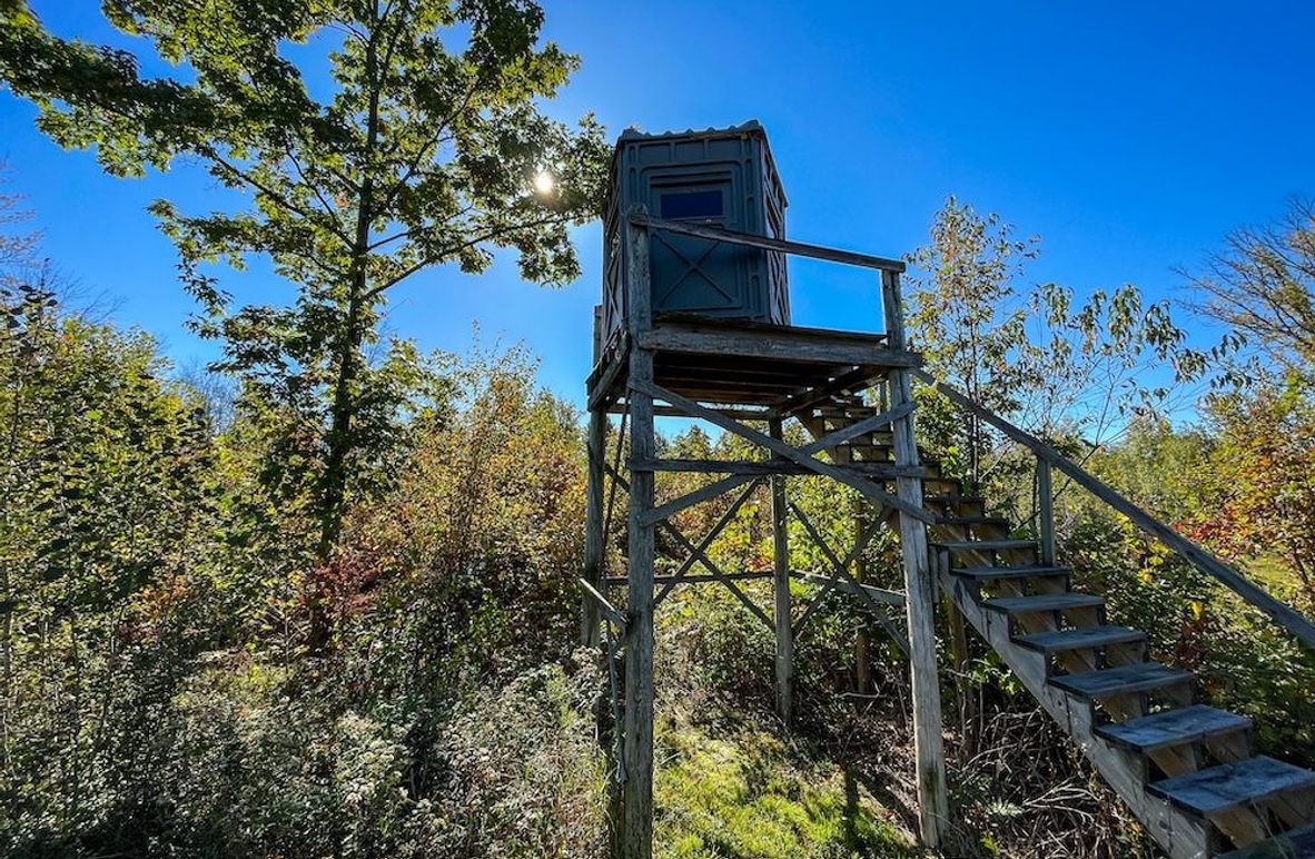 Wood 41.451, Collins -03