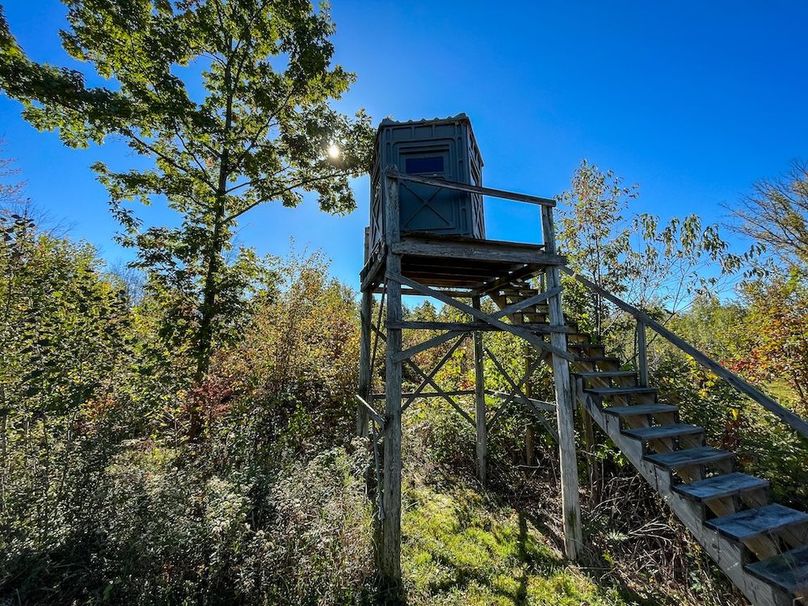 Wood 41.451, Collins -03