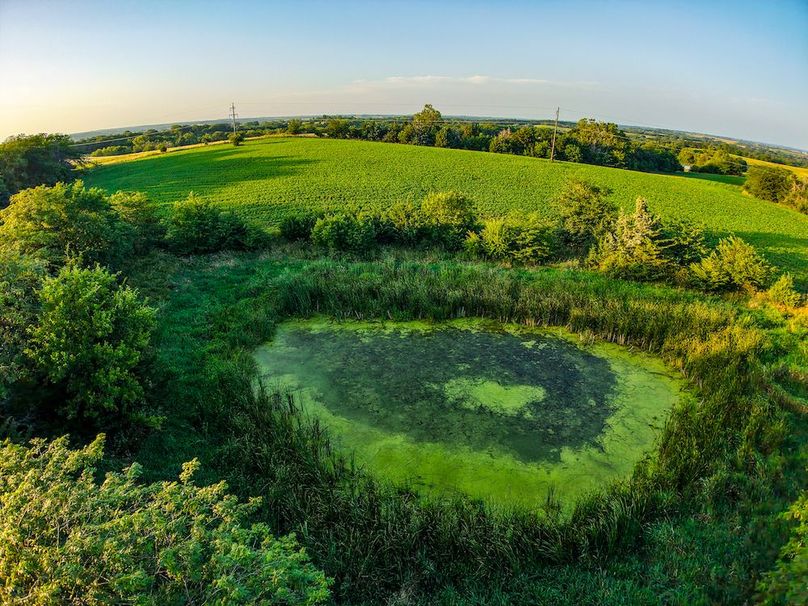 DJI_20250723194936_0375_D