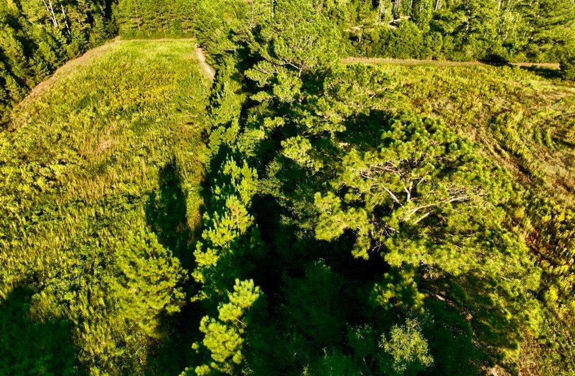 60B32497-79F0-4627-85ED-B3596C903ECA_1_105_c-2