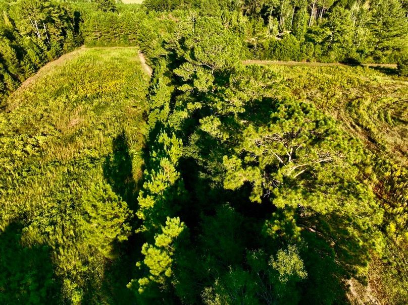 60B32497-79F0-4627-85ED-B3596C903ECA_1_105_c-2